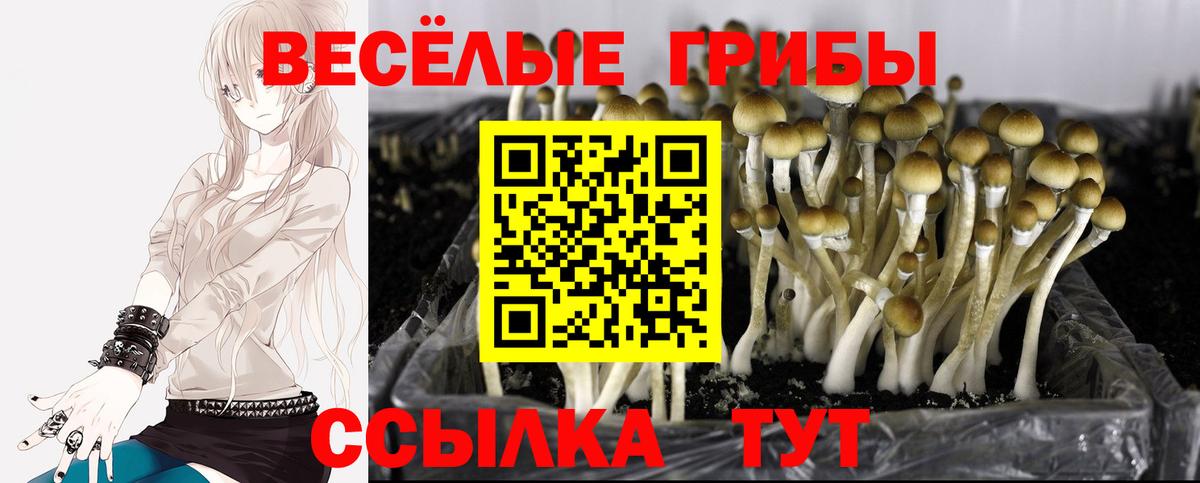 Псилоцибиновые грибы GOLDEN TEACHER  Вход с VPN  Морозовск 
